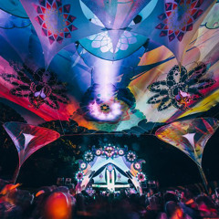 Matt Lickess - Noisily Festival 2015