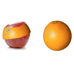 Clone Stamp