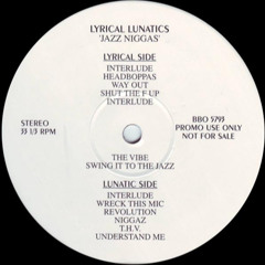 Lyrical Lunatics - The Vibe (rare 90's boom bap)