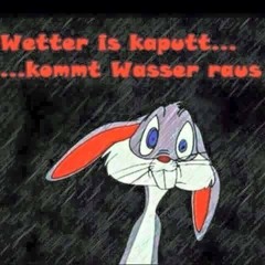 Der Zerstreute - gtu mix