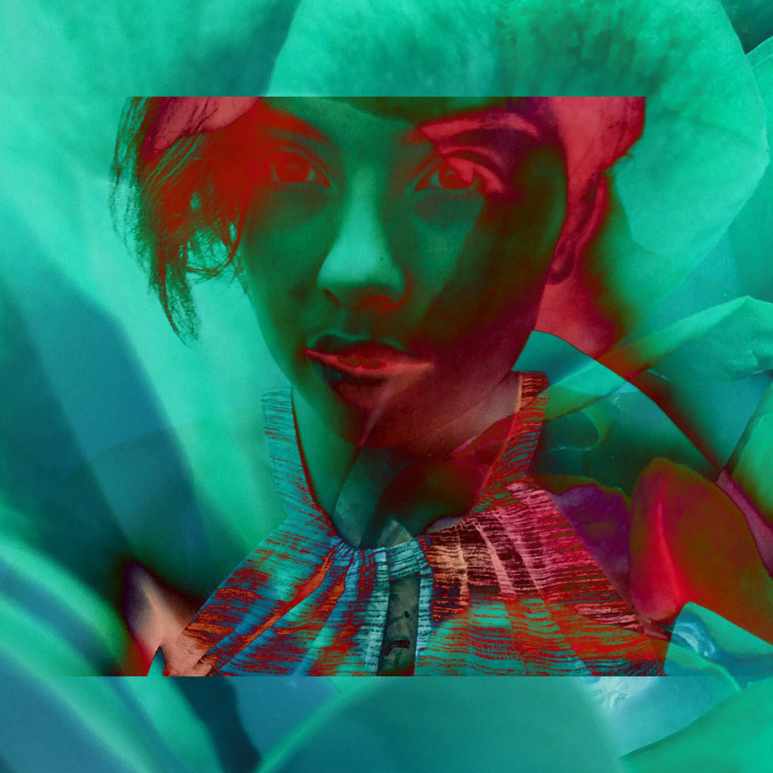 Seed Story Broadcasts