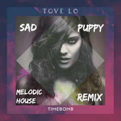 Tove Lo - Timebomb (Sad Puppy Melodic House Remix) **CLICK BUY TO DOWNLOAD**