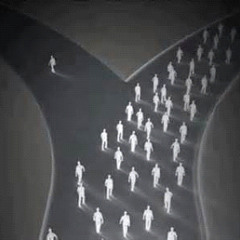 Message 373: "The Majority Compulsion"