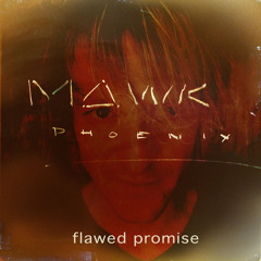 Flawed Promise