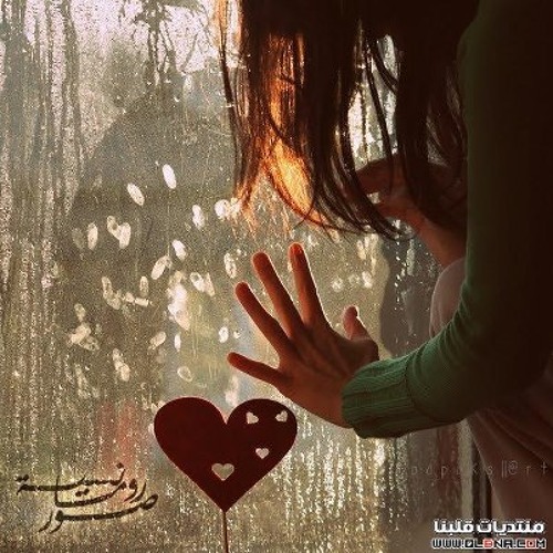 زيد الحبيب جذابين