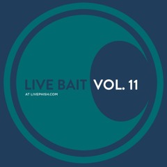 Phish - You Enjoy Myself (1995-10-14 Austin Music Hall – Austin, TX)