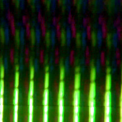 Verdant Fog & NiGHT TRAP -o-o-o- improvised set LIVE AT dog mansion -o-o-o- 07\13\15