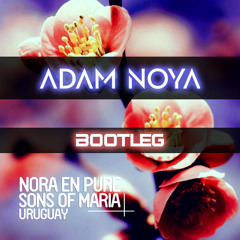 Nora En Pure, Sons Of Maria- Uruguay [Adam Noya Bootleg]