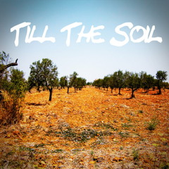 Till The Soil (feat. Asante Amen)