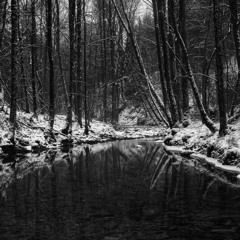Winterborn (Ft. Jamael)