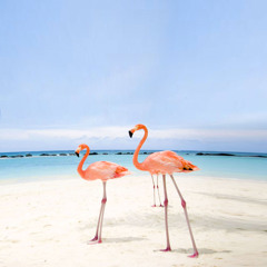 Flamingo Chill - Live DJ mix