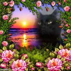 CORSICA TRANCE SCORES BLOODY SUMMER