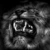 Freestyle Meek Mill R I C O Feat Drake Mp3