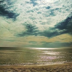 Shine (Pennypacker Cigar Box Cover)