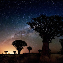 4Α-Οτι πιο ομορφο μας κρυβουν