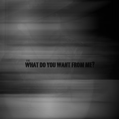 Ru-Mix:  What Do You Want From Me?