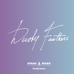 STRAFWERK - Dusty Feathers Mix