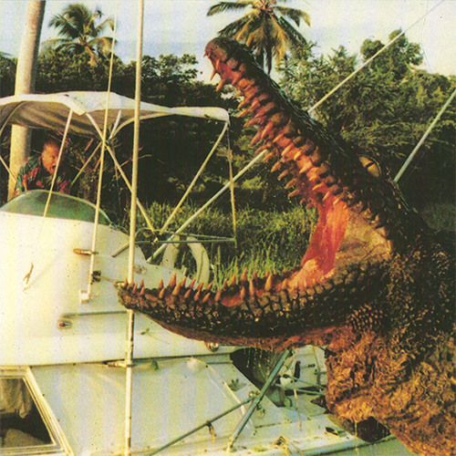 Crocodile ✆