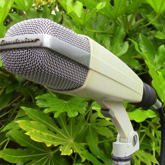 31b Vintage Recording Sennheiser MD421 - 2 (1960) Drum Overhead.