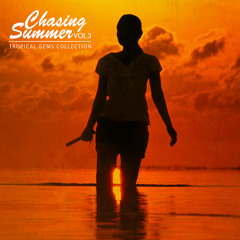 Chasing Summer Vol.3
