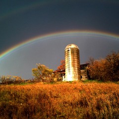 Inside the Wishing Well