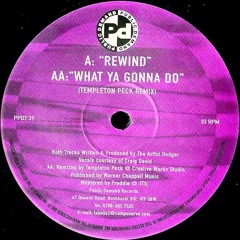 Artful Dodger Feat Craig David - What U Gonna Do (Templeton Peck VIP Remix)