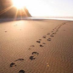 DeRaíz - paso a paso