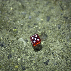 Roll The Dice (vocal version)