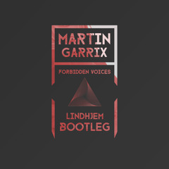 Martin Garrix - Forbidden Voices (Lindhjem Bootleg)
