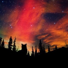 Ethno Shamanic Travel Band (LIVE, Uncut!)