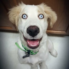 Charlie