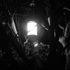 Malice Through The Looking Glass