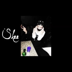 DBSKEE - SKEE