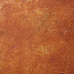 LIFETIME COMPANION - "BETWEEN PAIN AND RUST"