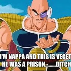 TFS  Best Of Vegeta