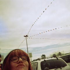 Bird Stealing Bread (Iron & Wine Cover)