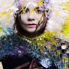 Bjork - Stonemilker (J - Camp Remix)