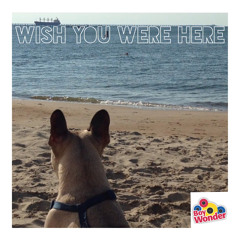 Wish You Were Here