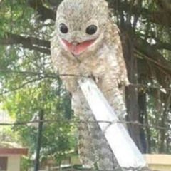 new england slam chowder