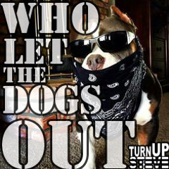 Who Let the Dogs Out Remix (Mashup) [2015]