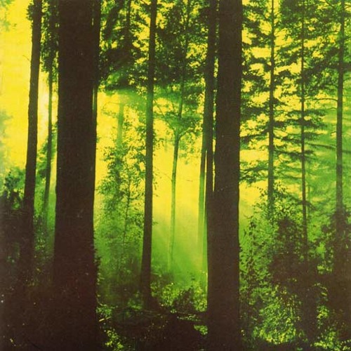 Thy Serpent - Like A Funeral Veil Of Melancholy