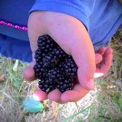 I'll Be Happy Just For You