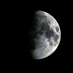 Bat For Lashes - Moon And Moon ( Trust RMX)