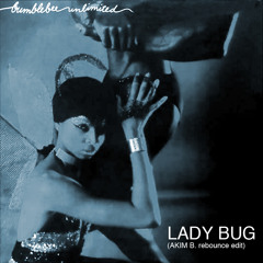 Lady Bug (Akim B rebounce edit)