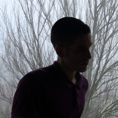 Metallica - Nothing Else Matters (Napster Was Right BassBoss Re-Cover)