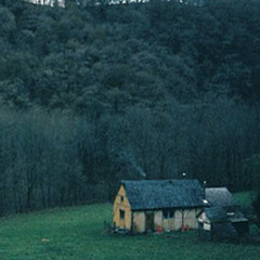 Forrest, Wish, Rain (2015)