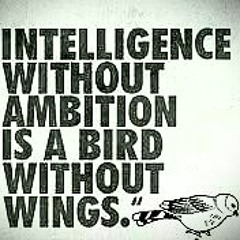 Trey Dot\Boogie/Morph/KDready-Wingz