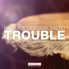 Wiwek & Gregor Salto Ft Mc Spyder - Trouble