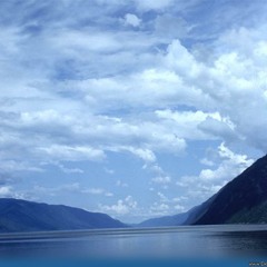 Trumpets Calling -Masilo