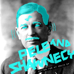 SNATCH062 02. The Guru (Original Mix) - Pele & Shawnecy [SNIP]